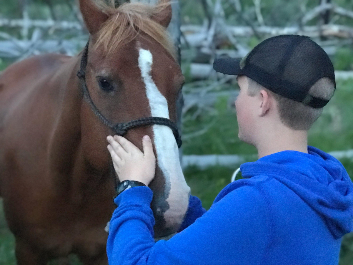 Young man with horse